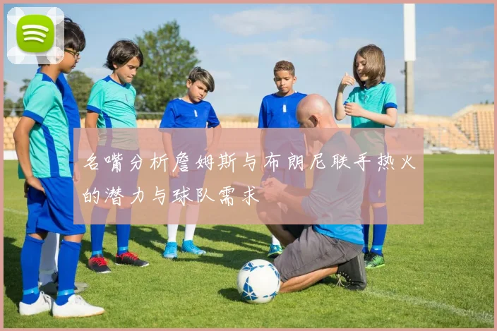 名嘴分析詹姆斯与布朗尼联手热火的潜力与球队需求